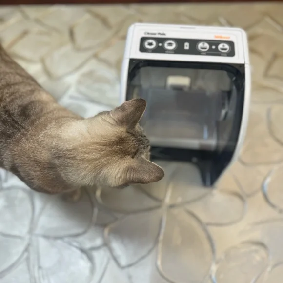 Closer Pets MiBowl Automatic Microchip Pet Feeder (CP500) for cats - Picture 4 of 6